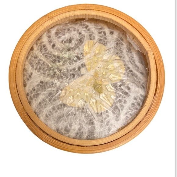 Vintage 4 Set Bamboo Rattan Pressed Decorative Butterfly Glass Coasters. - Picture 2 of 2